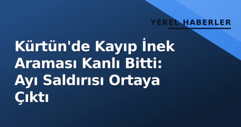Kürtün'de Kayıp İnek Araması Kanlı Bitti: Ayı Saldırısı Ortaya Çıktı