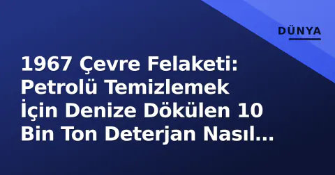 1967 Çevre Felaketi: Petrolü Temizlemek İçin Denize Dökülen 10 Bin Ton Deterjan Nasıl 'Katliam' Yaptırdı?
