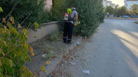 Kütahya Dumlupınar Mahallesi'nde kapsamlı çevre temizlik ve ot biçme çalışmaları başladı