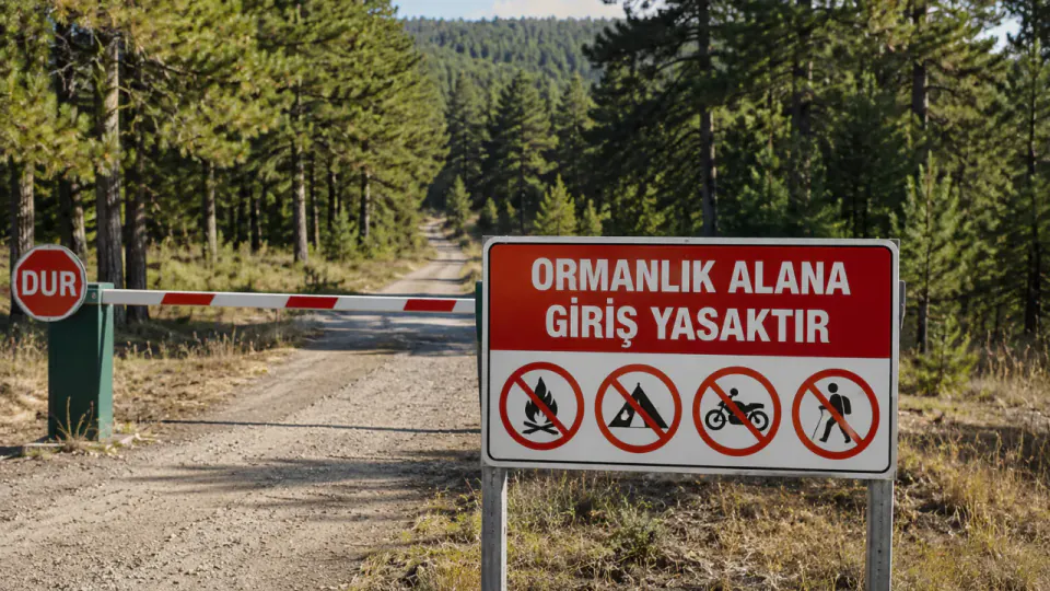 Yozgat'ta Ormanlara Giriş Yasaklandı: Valilikten Yeni Tedbirler Açıklandı görseli