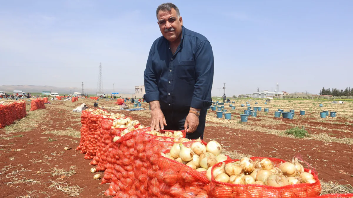 Kuru Soğan İthalatı Tartışması: Üretici ve Tüketici Arasındaki Makas Açılıyor Kuru Soğan İthalatı Tartışması: Üretici ve Tüketici Arasındaki Makas Açılıyor