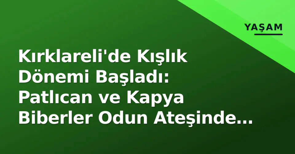 Kırklareli'de Kışlık Dönemi Başladı: Patlıcan ve Kapya Biberler Odun Ateşinde Közleniyor görseli