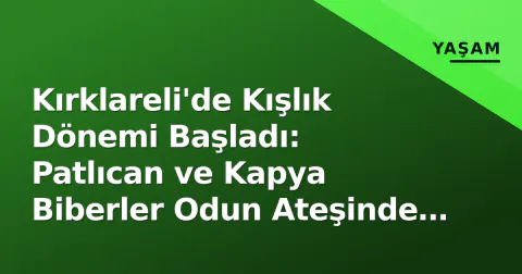 Kırklareli'de Kışlık Dönemi Başladı: Patlıcan ve Kapya Biberler Odun Ateşinde Közleniyor