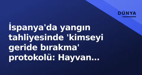 İspanya'da yangın tahliyesinde 'kimseyi geride bırakma' protokolü: Hayvan kurtarma ekipleri seferber