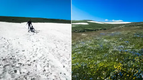 Ardahan'da Yaz Mevsiminin Getirdiği Yerel Hareketlilik ve Güncel Gelişmeler