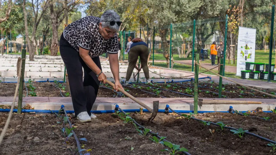 İzmir'de Mahalle Bostanı Kadına Yeni Yaşam Verdi: "Toprak İyileştirdi, İlk Karnabaharı Başkan Tugay'a Söz Verdim" görseli