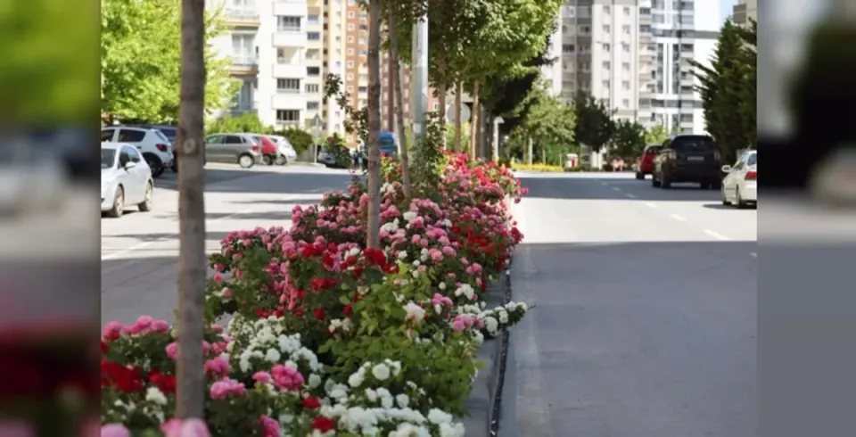 Kayseri Talas'ta 2026 Çiçek Yılı Coşkusu Başladı görseli