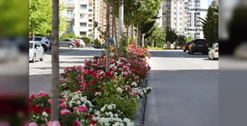 Kayseri Talas'ta 2026 Çiçek Yılı Coşkusu Başladı