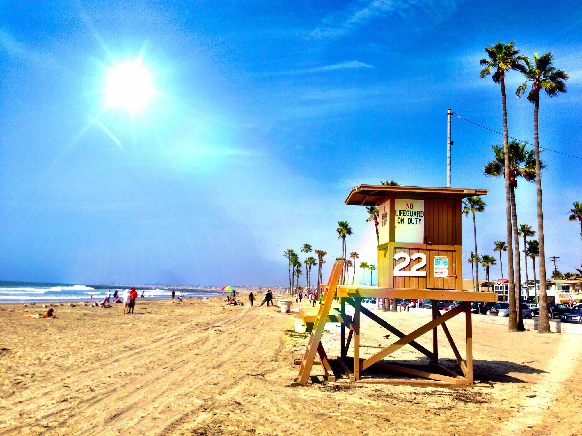 Newport Beach'te Bayram Sonrası Hareketlilik: Balina Uyarıları ve Yerel Gelişmeler Newport Beach'te Bayram Sonrası Hareketlilik: Balina Uyarıları ve Yerel Gelişmeler