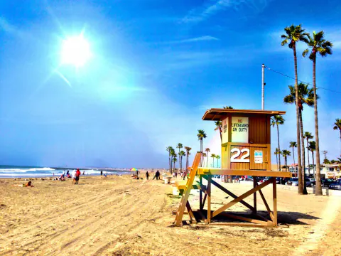 Newport Beach'te Bayram Sonrası Hareketlilik: Balina Uyarıları ve Yerel Gelişmeler