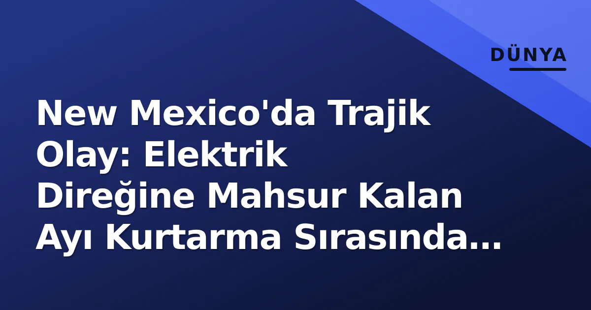 New Mexico'da Trajik Olay: Elektrik Direğine Mahsur Kalan Ayı Kurtarma Sırasında Can Verdi New Mexico'da Trajik Olay: Elektrik Direğine Mahsur Kalan Ayı Kurtarma Sırasında Can Verdi