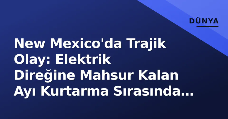 New Mexico'da Trajik Olay: Elektrik Direğine Mahsur Kalan Ayı Kurtarma Sırasında Can Verdi görseli