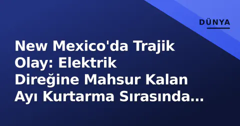 New Mexico'da Trajik Olay: Elektrik Direğine Mahsur Kalan Ayı Kurtarma Sırasında Can Verdi