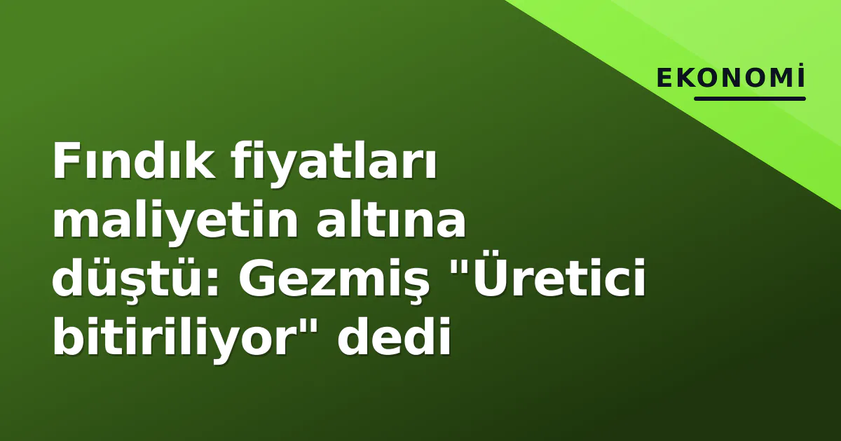 Fındık fiyatları maliyetin altına düştü: Gezmiş "Üretici bitiriliyor" dedi Fındık fiyatları maliyetin altına düştü: Gezmiş "Üretici bitiriliyor" dedi