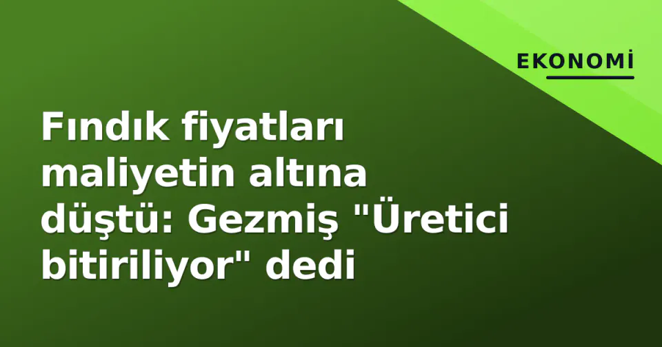 Fındık fiyatları maliyetin altına düştü: Gezmiş "Üretici bitiriliyor" dedi görseli