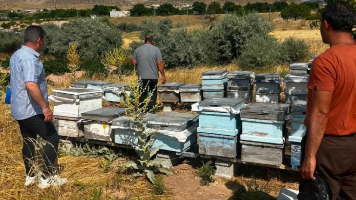 Nevşehir'de Arılı Kovan Denetimleri Aralıksız Sürüyor Nevşehir'de Arılı Kovan Denetimleri Aralıksız Sürüyor