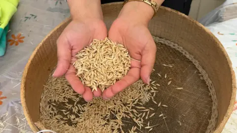 Kadının Emeği, Tarımın Geleceği: 1,7 Milyon TL Ödüllü Fotoğraf Yarışması