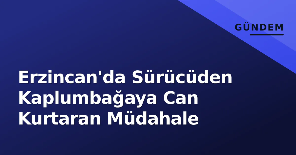 Erzincan'da Sürücüden Kaplumbağaya Can Kurtaran Müdahale Erzincan'da Sürücüden Kaplumbağaya Can Kurtaran Müdahale