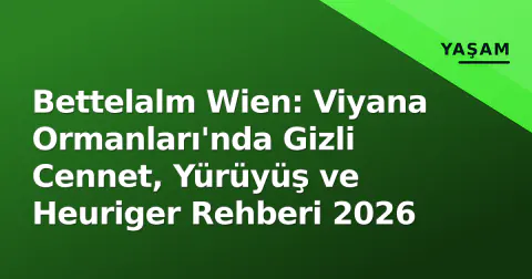 Bettelalm Wien: Viyana Ormanları'nda Gizli Cennet, Yürüyüş ve Heuriger Rehberi 2026
