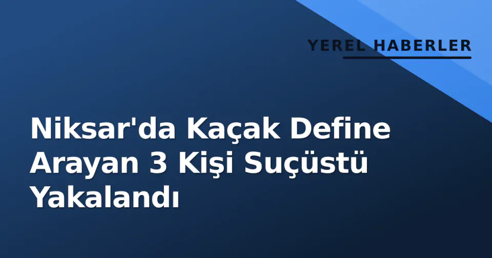 Niksar'da Kaçak Define Arayan 3 Kişi Suçüstü Yakalandı görseli