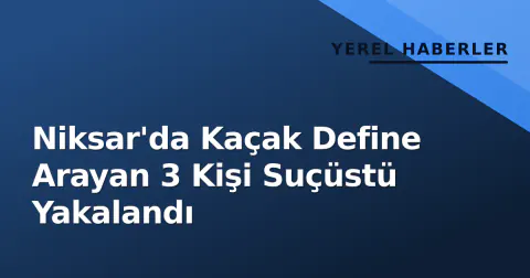 Niksar'da Kaçak Define Arayan 3 Kişi Suçüstü Yakalandı