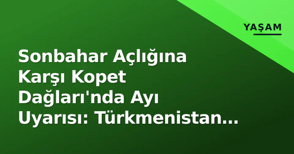 Sonbahar Açlığına Karşı Kopet Dağları'nda Ayı Uyarısı: Türkmenistan Yetkilileri 'Uzak Durun' Deddi görseli
