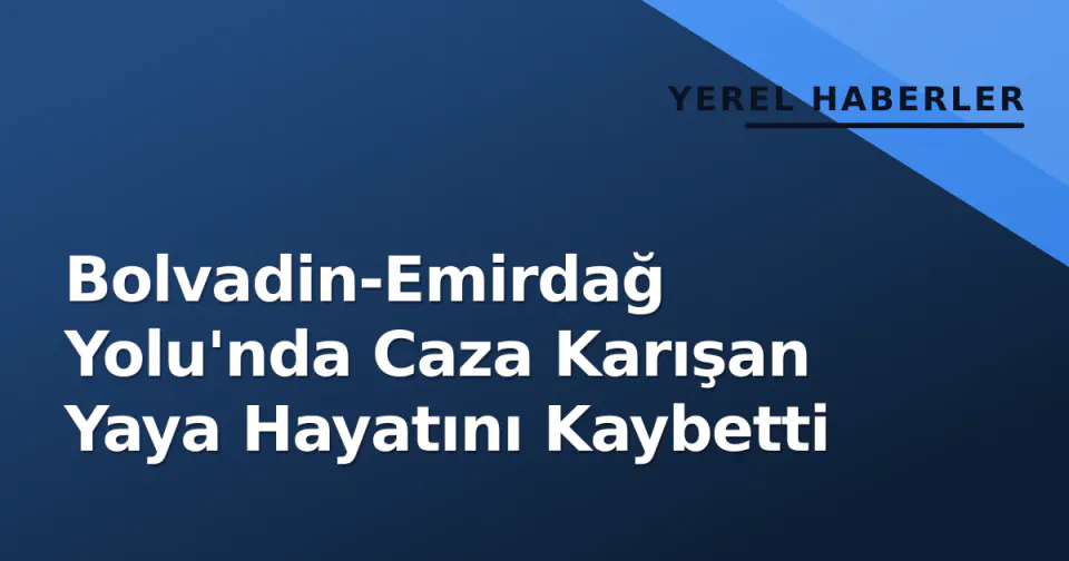 Bolvadin-Emirdağ Yolu'nda Caza Karışan Yaya Hayatını Kaybetti görseli