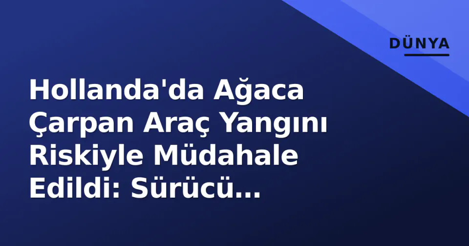Hollanda'da Ağaca Çarpan Araç Yangını Riskiyle Müdahale Edildi: Sürücü Yaralandı görseli