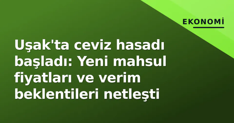 Uşak'ta ceviz hasadı başladı: Yeni mahsul fiyatları ve verim beklentileri netleşti görseli