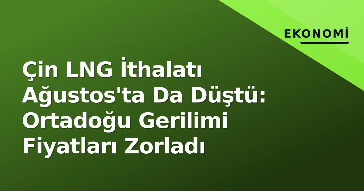 Çin LNG İthalatı Ağustos'ta Da Düştü: Ortadoğu Gerilimi Fiyatları Zorladı Çin LNG İthalatı Ağustos'ta Da Düştü: Ortadoğu Gerilimi Fiyatları Zorladı
