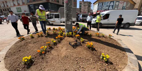 Yüksekova'da Özgürlük Meydanı yeşeriyor: Peyzaj ve çiçek dikim çalışmaları başlandı