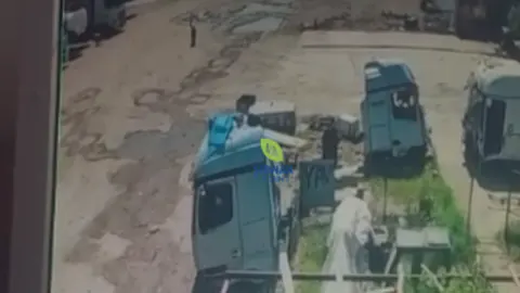 Şırnak'ın Silopi İlçesinde Başıboş Köpek Saldırısı: İkinci Olay Yaşandı