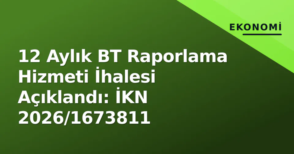 12 Aylık BT Raporlama Hizmeti İhalesi Açıklandı: İKN 2026/1673811 görseli