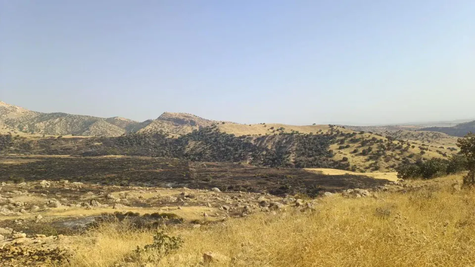 Şırnak Silopi'de Cudi Dağı'nda çıkan orman yangını kontrol altına alındı görseli
