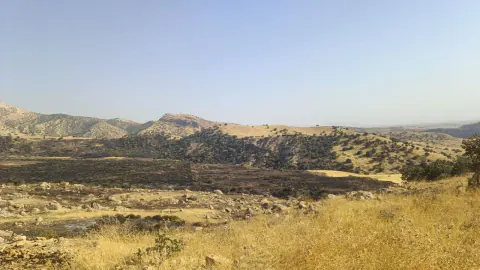 Şırnak Silopi'de Cudi Dağı'nda çıkan orman yangını kontrol altına alındı