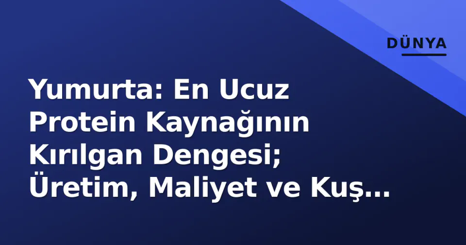 Yumurta: En Ucuz Protein Kaynağının Kırılgan Dengesi; Üretim, Maliyet ve Kuş Gripisi Riski görseli