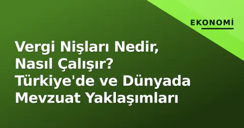 Vergi Nişları Nedir, Nasıl Çalışır? Türkiye'de ve Dünyada Mevzuat Yaklaşımları