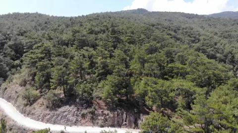 Erzurum'da ormanlık alanlara giriş yasaklandı: Tarihler ve kurallar belli oldu