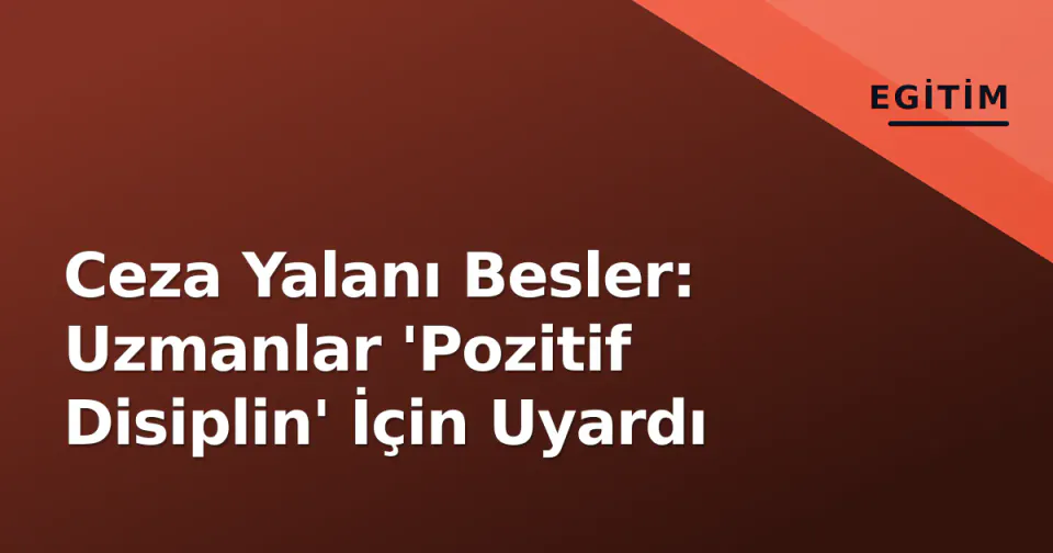 Ceza Yalanı Besler: Uzmanlar 'Pozitif Disiplin' İçin Uyardı görseli