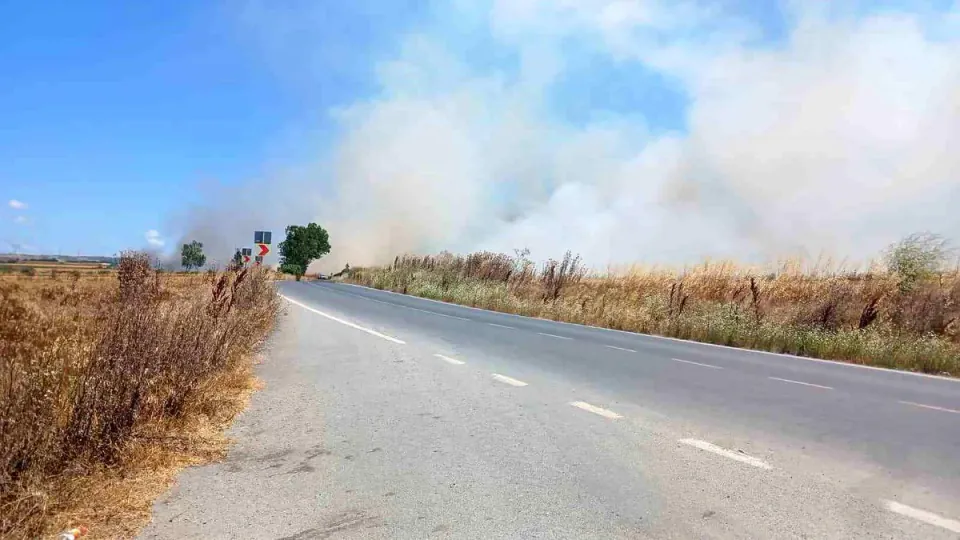 Silivri'de Tarla Yangını Paniği: Rüzgar Alevleri Yaydı görseli