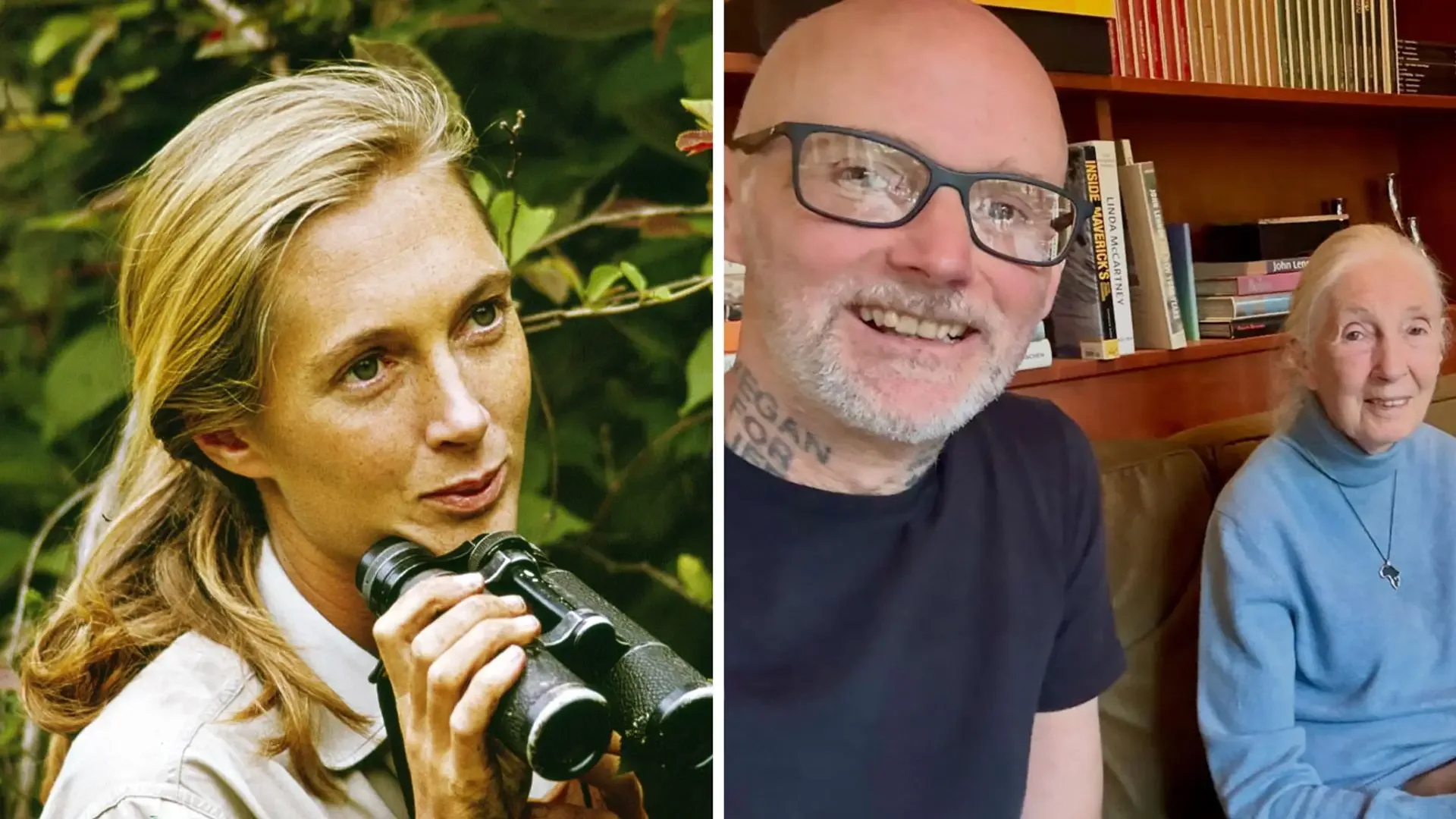 Moby, HELLO! dergisine Jane Goodall ile dostluğunu anlattı: "Hollywood'u büyülemişti" Moby, HELLO! dergisine Jane Goodall ile dostluğunu anlattı: "Hollywood'u büyülemişti"