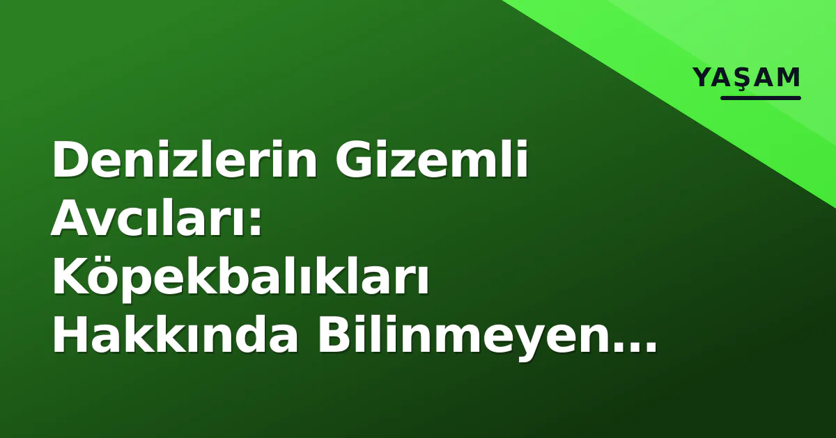 Denizlerin Gizemli Avcıları: Köpekbalıkları Hakkında Bilinmeyen Gerçekler Denizlerin Gizemli Avcıları: Köpekbalıkları Hakkında Bilinmeyen Gerçekler