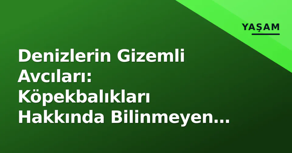 Denizlerin Gizemli Avcıları: Köpekbalıkları Hakkında Bilinmeyen Gerçekler görseli