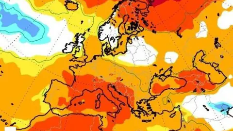ECMWF Kış Tahmini: Türkiye'de İlık Bir Dönem Bekleniyor, Kar 1500 Metrenin Üstünde Kalacak