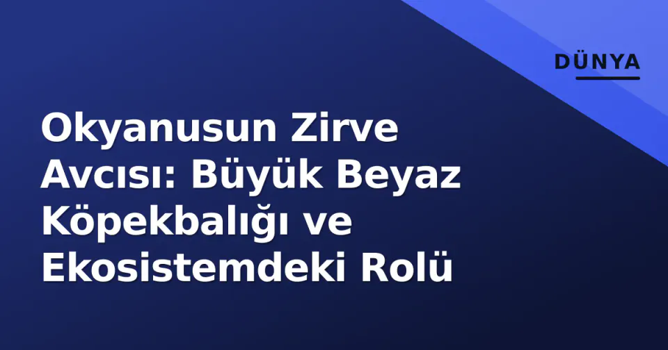 Okyanusun Zirve Avcısı: Büyük Beyaz Köpekbalığı ve Ekosistemdeki Rolü görseli