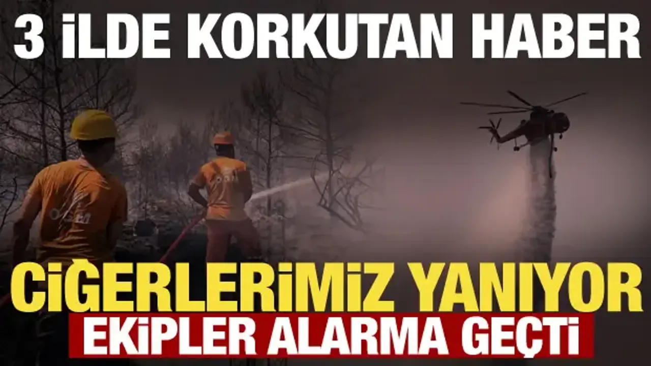 Çanakkale Ayvacık-Assos Yolunda Yangın Uçaklar Sevk Edildi Çanakkale Ayvacık-Assos Yolunda Yangın Uçaklar Sevk Edildi