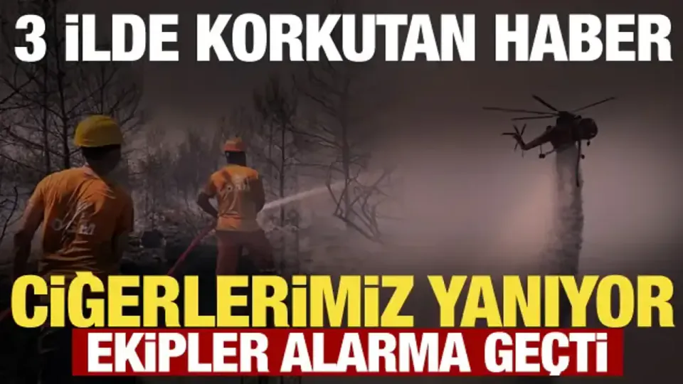 Çanakkale Ayvacık-Assos Yolunda Yangın Uçaklar Sevk Edildi görseli