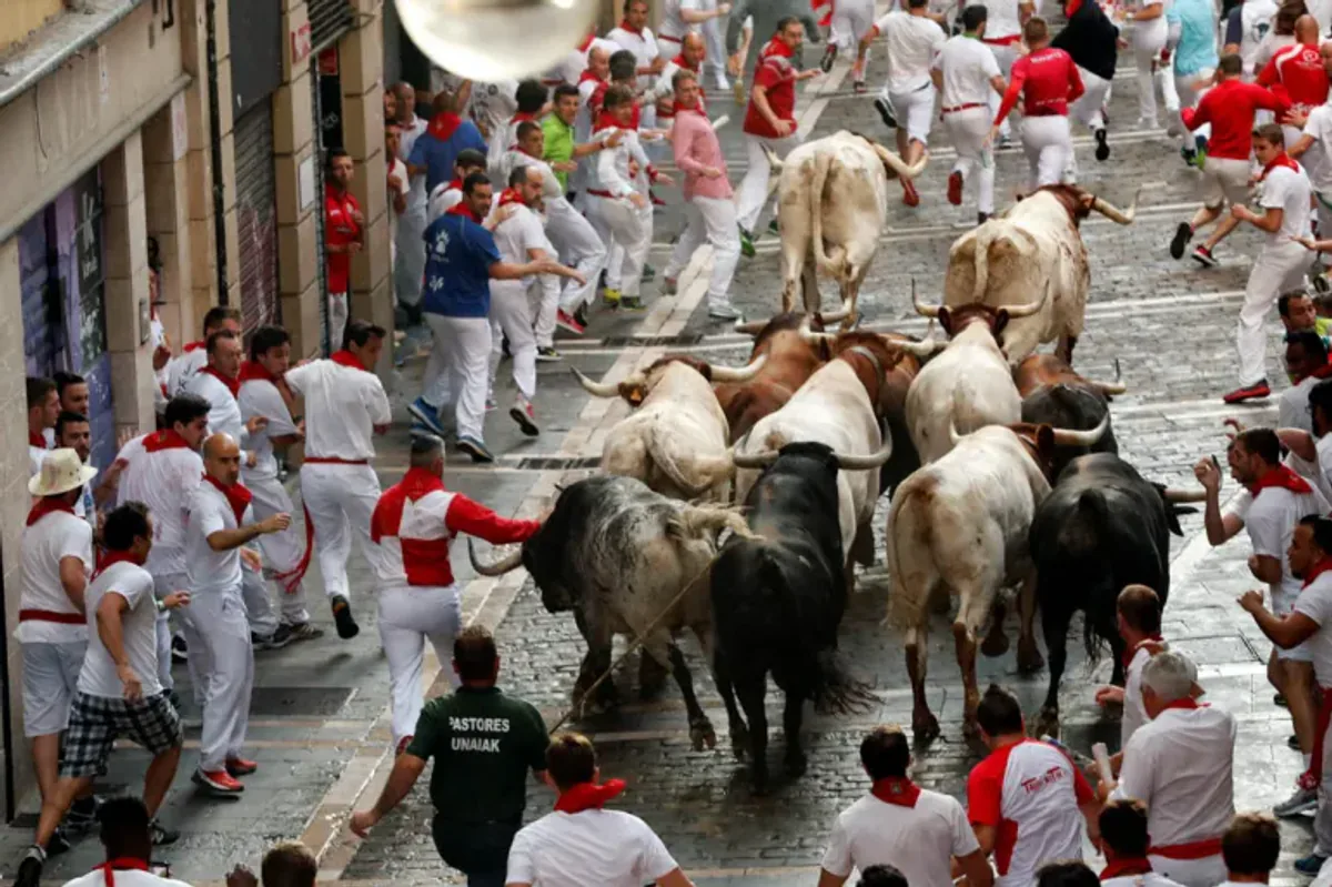 İspanya'nın Dünyaca Ünlü San Fermin Boğa Koşusu Festivali Başladı İspanya'nın Dünyaca Ünlü San Fermin Boğa Koşusu Festivali Başladı