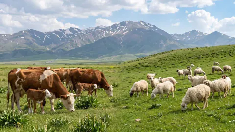 Atık Desteğinde Yeni Dönem: 2026 İçin Değişen Kurallar Resmi Gazete'de