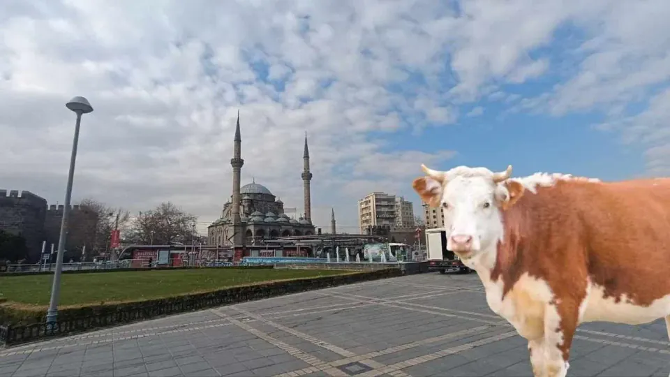 Kayseri'de Bayram Hareketliliği: Toplu Taşımada Unutulan Eşyalar Listelendi görseli